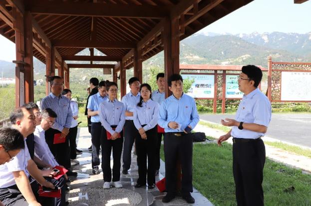 荣耀国际(中国区) - 官方网站