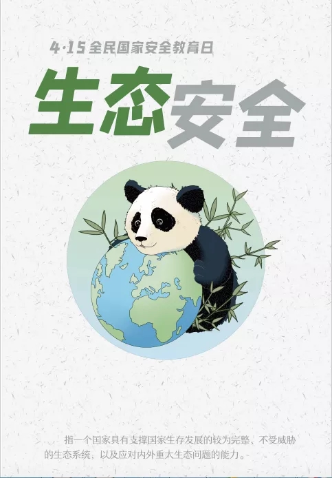 荣耀国际(中国区) - 官方网站