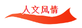 荣耀国际(中国区) - 官方网站