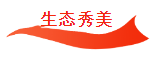 荣耀国际(中国区) - 官方网站