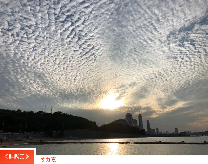 荣耀国际(中国区) - 官方网站