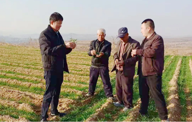 荣耀国际(中国区) - 官方网站