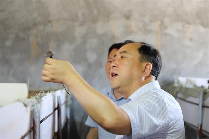 荣耀国际(中国区) - 官方网站