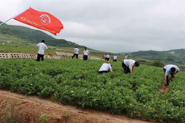 荣耀国际(中国区) - 官方网站
