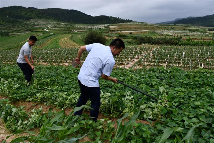 荣耀国际(中国区) - 官方网站