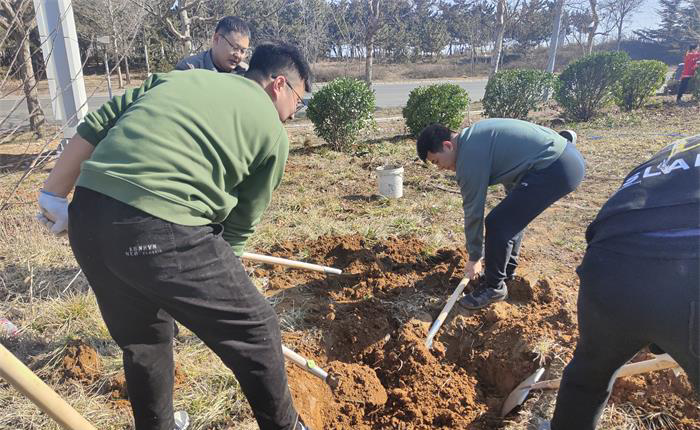 荣耀国际(中国区) - 官方网站