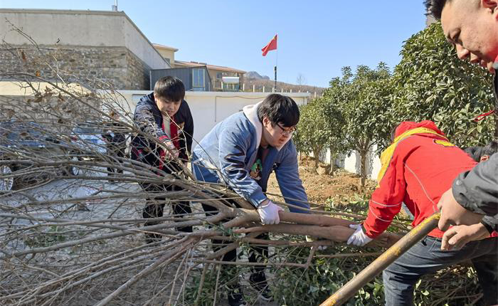 荣耀国际(中国区) - 官方网站