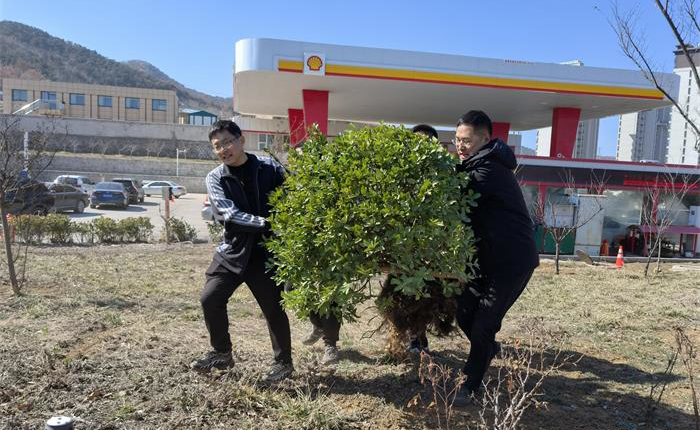 荣耀国际(中国区) - 官方网站