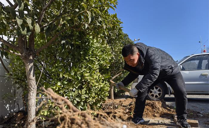 荣耀国际(中国区) - 官方网站