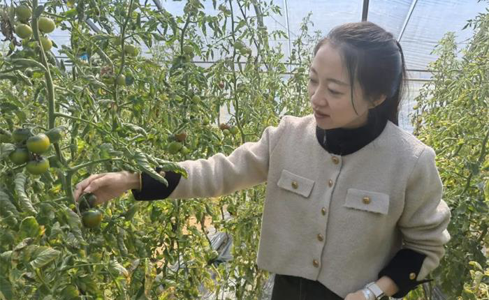 荣耀国际(中国区) - 官方网站