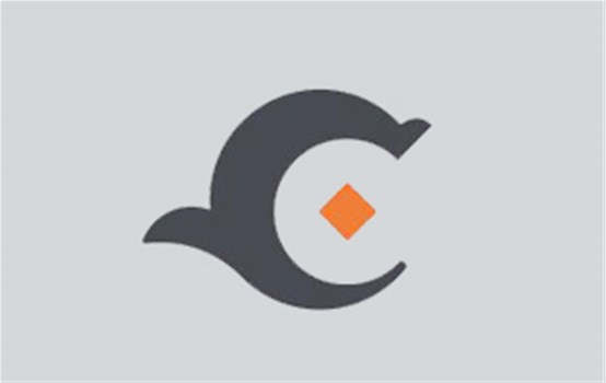 荣耀国际选定招标代理服务机构中标公示